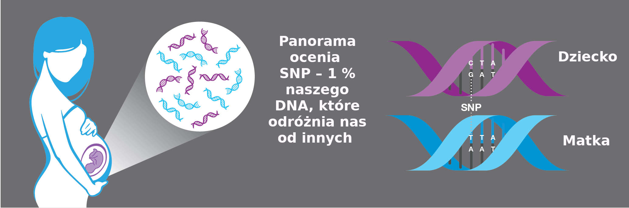 test prenatalny panorama metoda SNP 